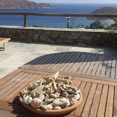 Anemi فيلة *